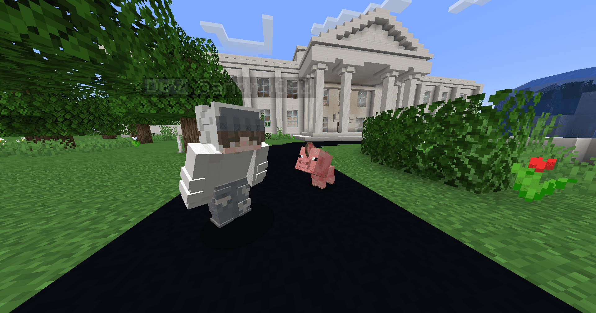 Piggy