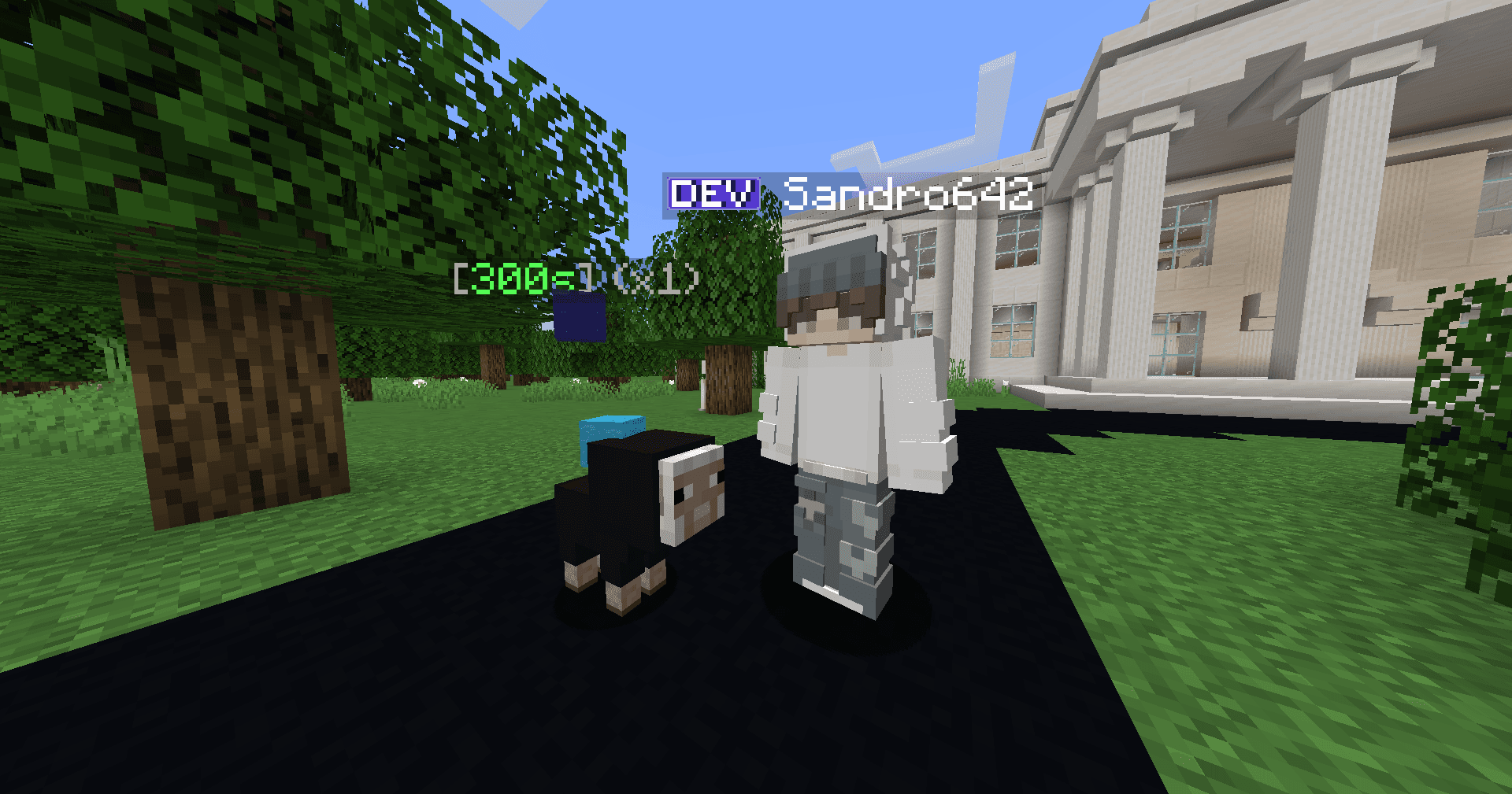 Sheep