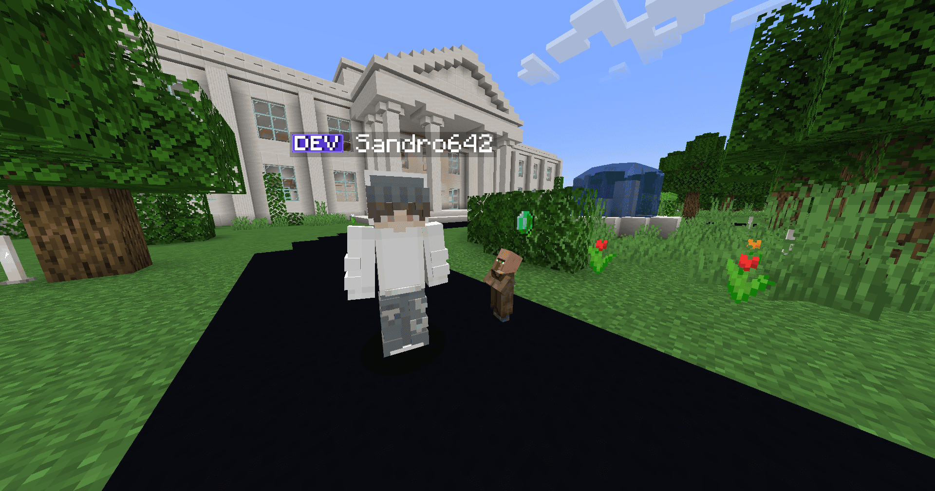 Villager